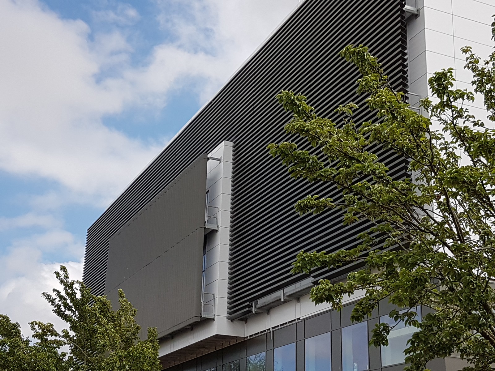 Lorem ipsum dolor sit amet